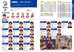 北陸電力 ブルーサンダー - 日本ハンドボールリーグ