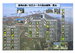 鳥海山湯ノ台口コースの高山植物・夏山