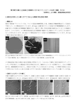 放射光を利用したX線トポグラフ法による潜傷の発生原因の解析