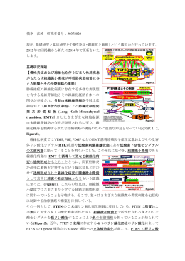 橋本 直純 研究者番号：30378020 現在、基礎研究と臨床研究を『慢性