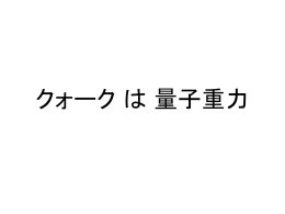 2014年4月17日 クォークは量子重力 橋本 幸士