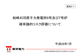 柏崎刈羽原子力発電所6号及び7号炉 確率論的リスク評価