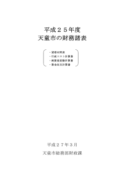 平成25年度 天童市の財務諸表