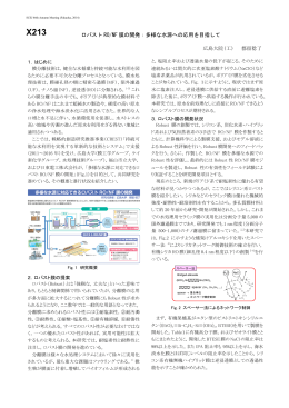 ロバスト RO/NF 膜の開発：多様な水源への応用を目指して