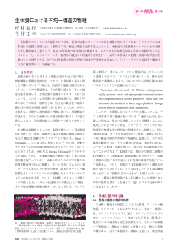 生体膜における不均一構造の物理 解説