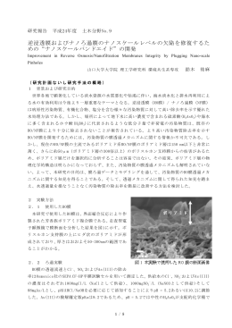逆浸透膜およびナノろ過膜のナノスケールレベルの欠陥を修復するた め