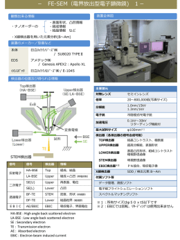 － FE-SEM（電界放出型電子顕微鏡) 1－