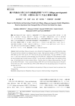 瀬戸内海山口湾における絶滅危惧種アオギス Sillago parvisquamis
