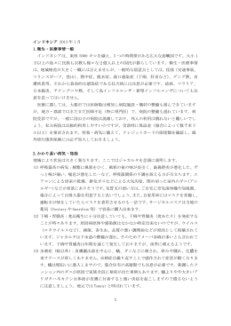 インドネシアの医療事情 （2013年1月）