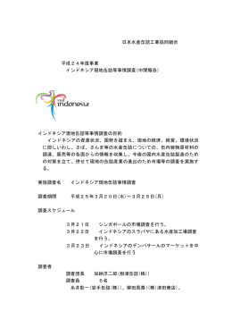 インドネシア現地缶詰等事情調査（中間報告）