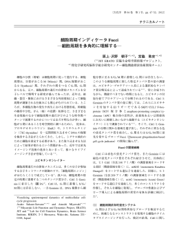 細胞周期インディケータ Fucci ―細胞周期を多角的に理解する―