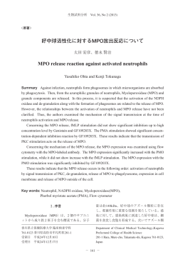 好中球活性化に対するMPO放出反応について MPO