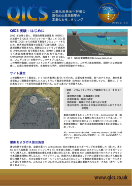 QICS 実験：はじめに