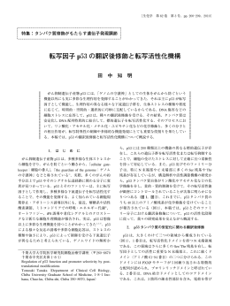 転写因子 p53の翻訳後修飾と転写活性化機構