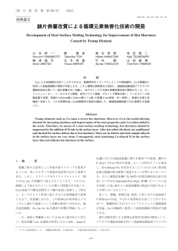 鋳片表層改質による循環元素無害化技術の開発（PDF 2957KB）