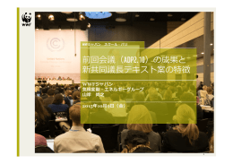 前回会議（ADP2.10）の成果と 新共同議  テキスト案の特徴