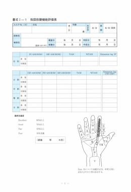 書式 1- 1 指屈筋健機能評価表