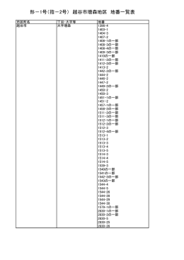 形－1号（指－2号） 越谷市増森地区 地番一覧表