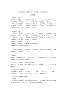 仕様書（PDF:166KB） - 石油天然ガス・金属鉱物資源機構