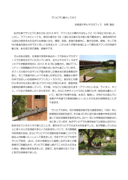 ザンビアに暮らしてみて 北海道大学ルサカオフィス 池見 真由 私が仕事