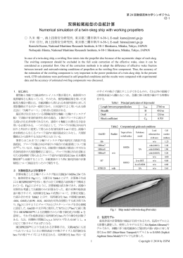双胴船尾船型の自航計算