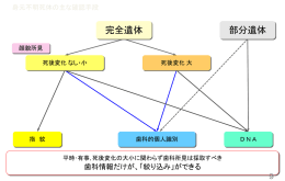 部分遺体 完全遺体