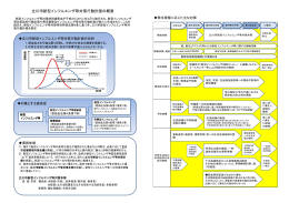 立川市新型インフルエンザ等対策行動計画の概要（PDF：132KB）