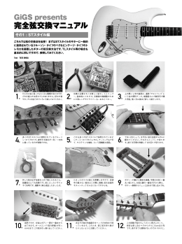 完全弦交換マニュアル