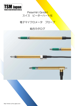 PeterHirt GmbH スイス ピーターハート社 電子マイクロメータ プローブ