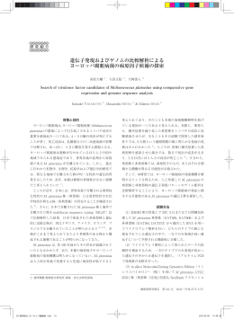 遺伝子発現およびゲノムの比較解析による ヨーロッパ腐蛆病菌の病原