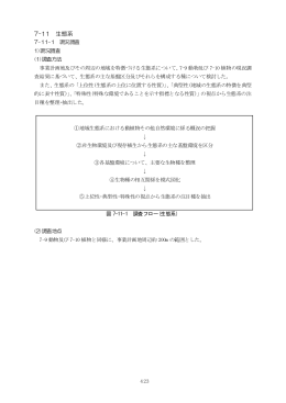 7-11 生態系