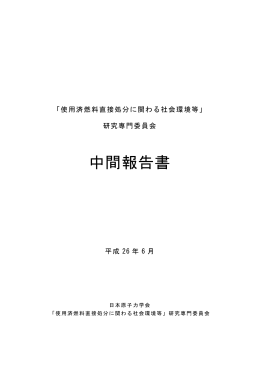 中間報告書 - 日本原子力学会