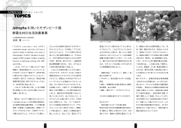 Jatrophaを用いたモザンビーク国 無電化村の生活改善事業