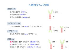Fc融合タンパク質 デュラグルチド