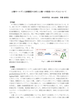 土壌中ハロゲン元素濃度の分析と土壌への吸着メカニズムについて