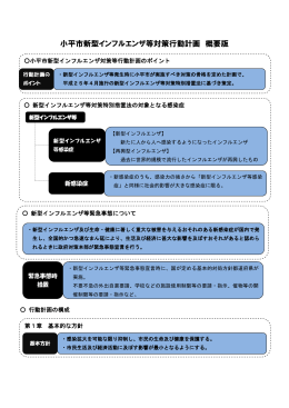 小平市新型インフルエンザ等対策行動計画概要版（PDFファイル 333KB）