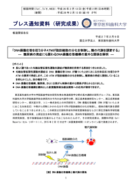 高木正稔 講師 - 東京医科歯科大学