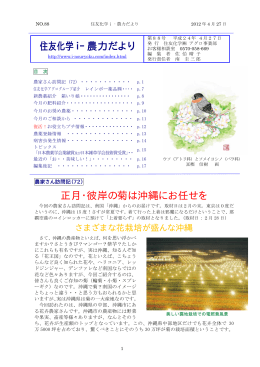 正月・彼岸の菊は沖縄にお任せを 住友化学iｰ農力だより