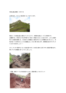 利尻山登山情報 6 月 27 日 山頂付近も、日ごとに緑が濃くなってきてい
