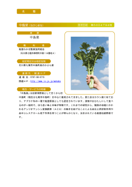 中島菜（なかじまな）（PDF：116KB）