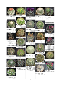 3392112 恒星雲(花座付) 15～17 4450 17～19 6450 M