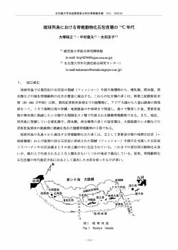 琉球列島における脊椎動物化石包含層のMC 年代