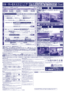 JAL琉球海炎祭2015 JAL琉球海炎祭2015