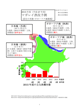 マガレイ漁況予測