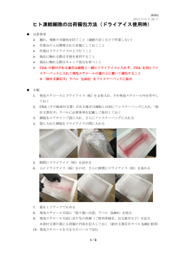 ヒト凍結細胞の出荷梱包方法（ドライアイス使用時）