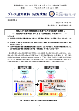 母乳により脂肪の燃焼機能が発達する巧妙な