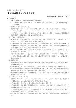 DNAの断片化・電気泳動実験
