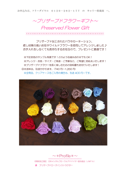 PDFデータ - キャリー倶楽部