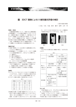 3DCT 画像による X 線防護衣評価の検討
