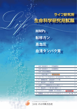 MMPs 転移ガン 高血圧 血清タンパク質